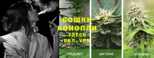 прущие крисы Беломорск